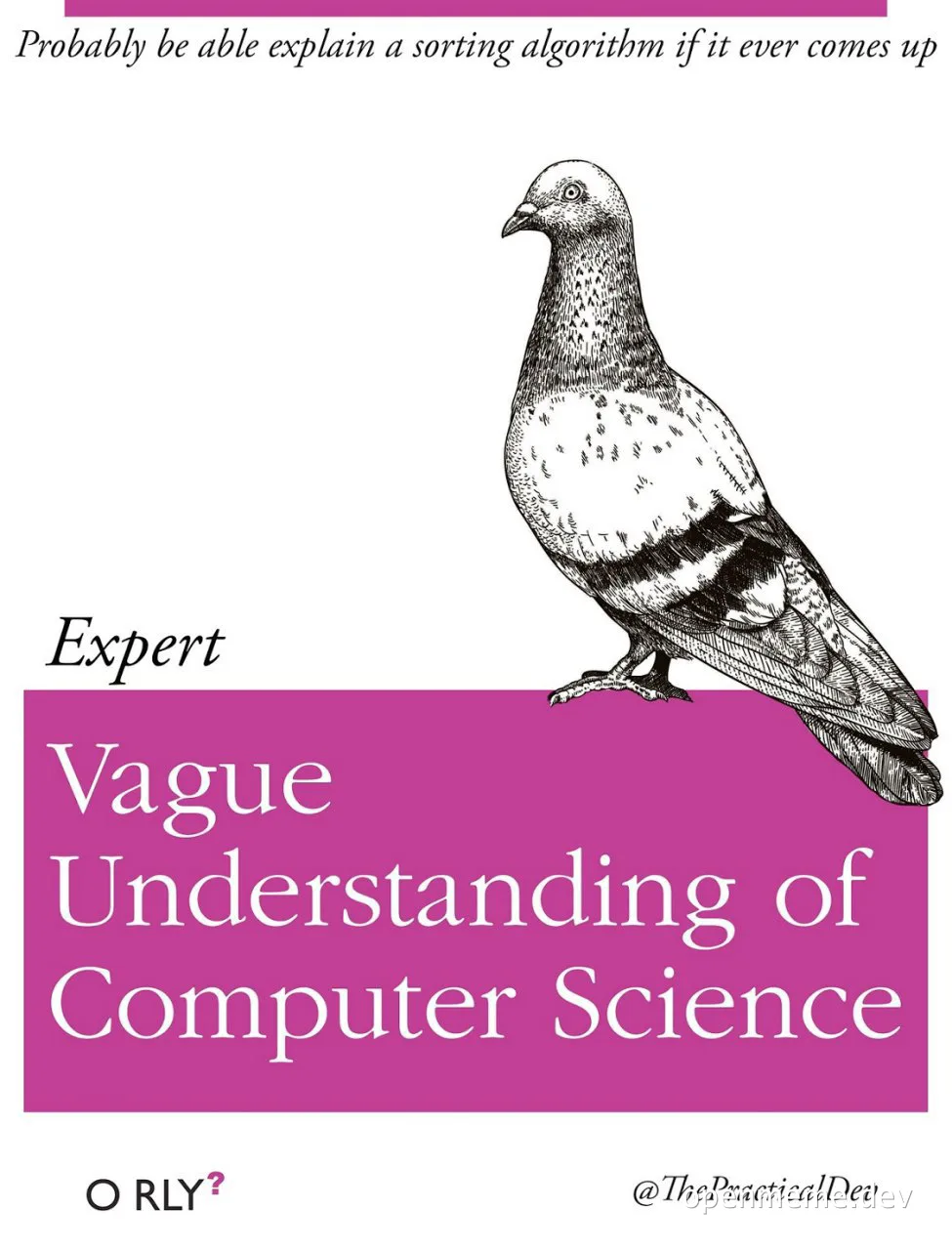A pigeon standing on a pink box with 'Vague Understanding of Computer Science' text, implying a humorous take on computer science expertise.