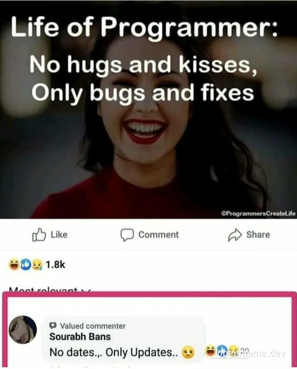 programmer life no hugs and kisses only bugs and fixes