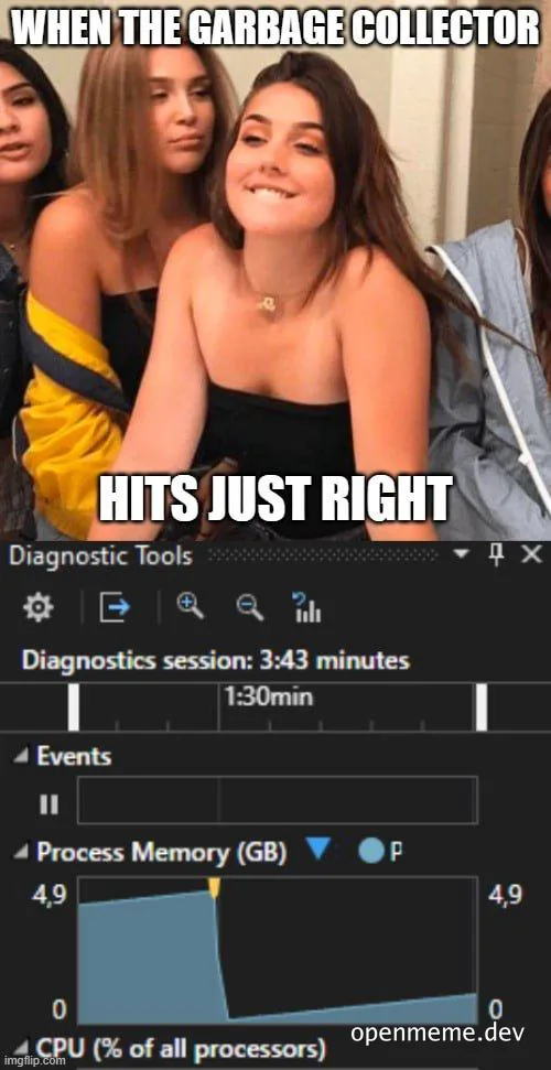 a meme of a smiling woman with a diagnostic tool screenshot showing a CPU graph with a sharp drop, captioned 'WHEN THE GARBAGE COLLECTOR HITS JUST RIGHT'