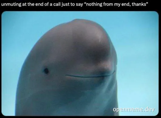 Beluga whale with a smug expression