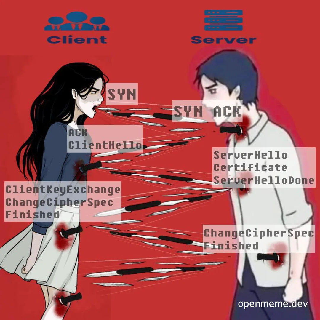 Client and server in a violent relationship with bloody knives and ssl/tls handshake terms