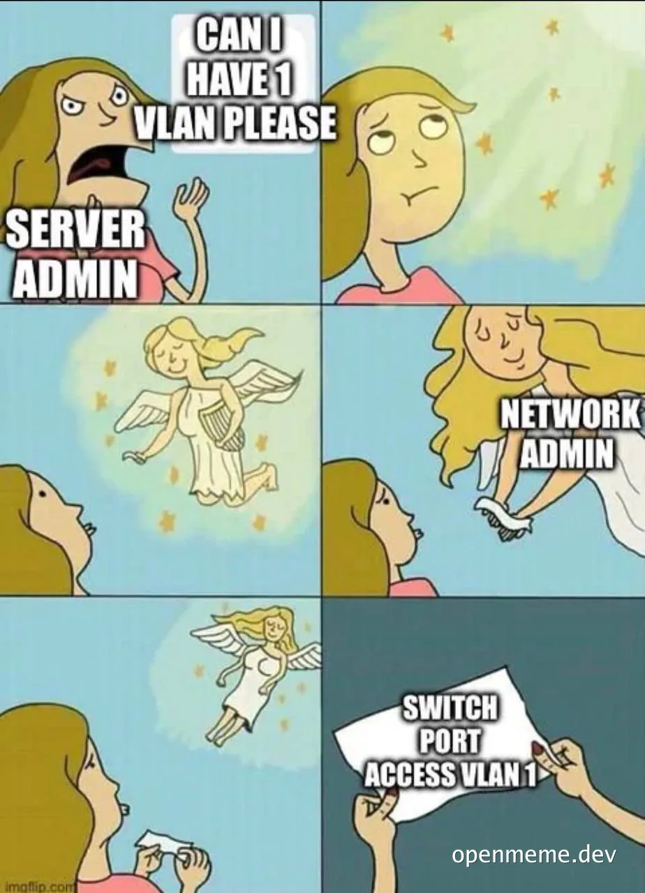 Six-panel cartoon comic where an angry server admin begs for a VLAN, a glowing angel labeled network admin descends, and the