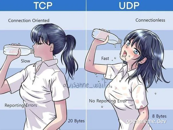 TCP vs UDP network protocol meme comparing connection oriented and connectionless cartoon characters drinking water