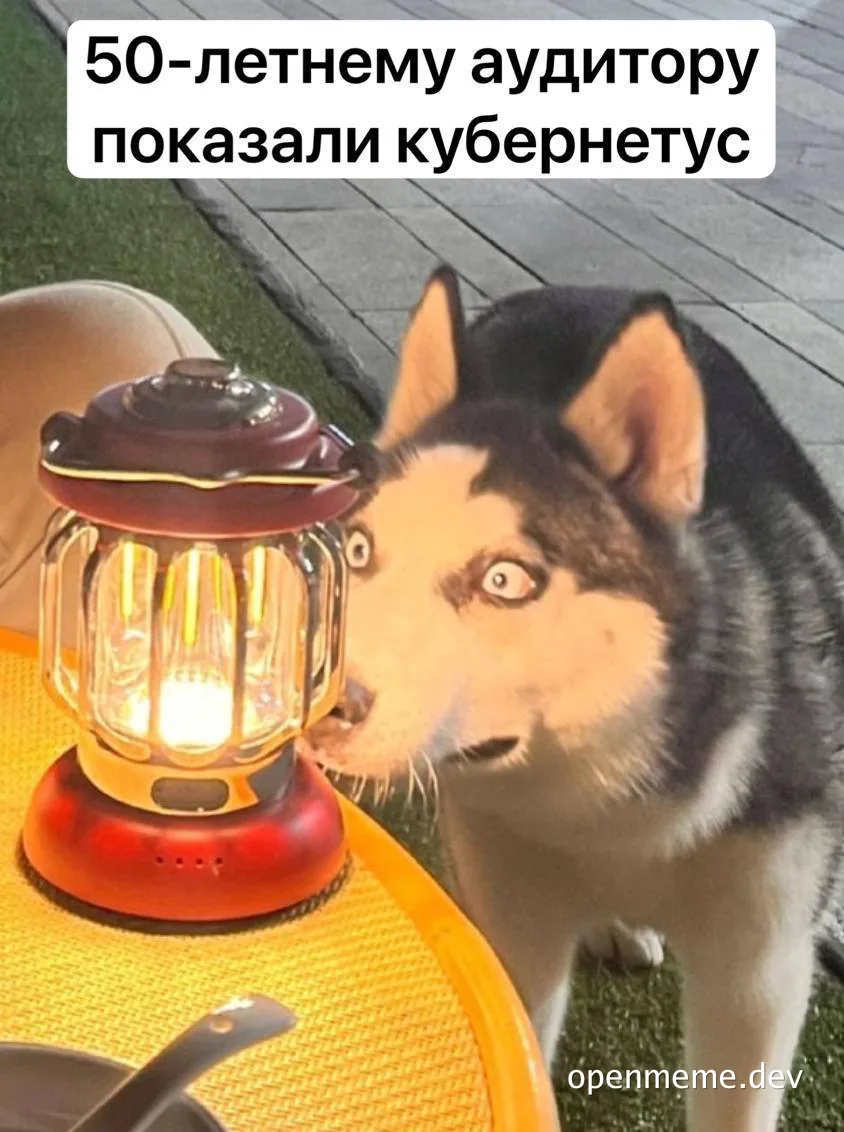 Dog looking at lantern with shocked expression