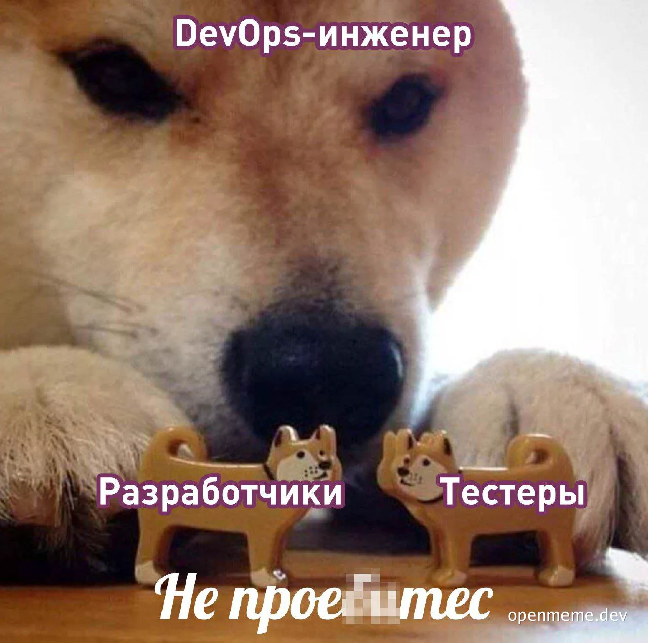 dog with toy dogs
