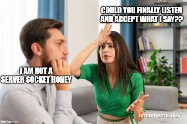 Woman in green shirt arguing with a man, text reads 'I am not a server socket honey'