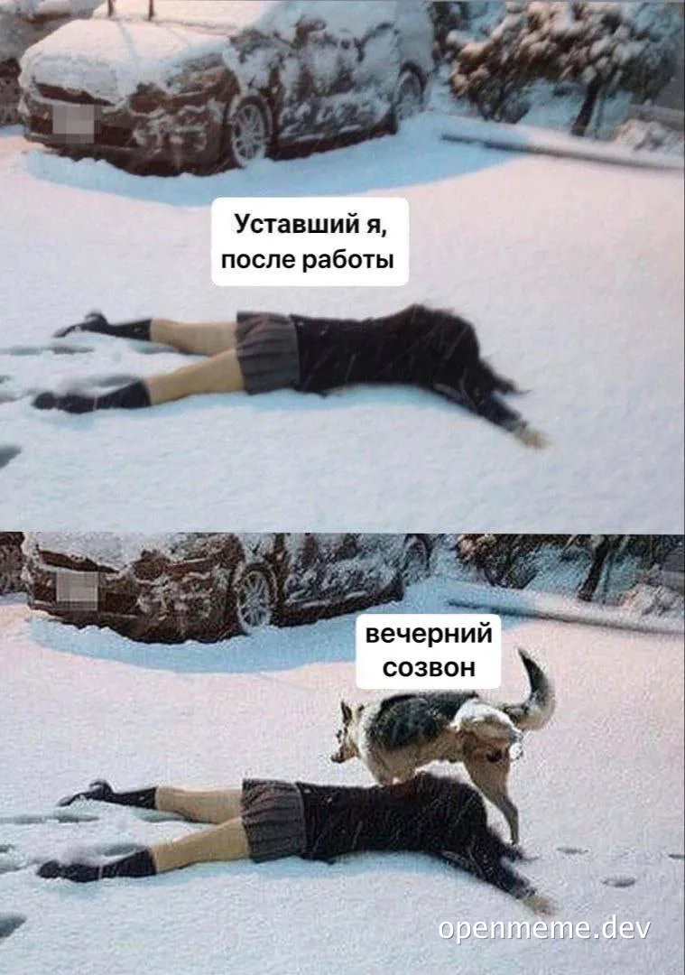 Woman lying in snow before and after a cat interaction