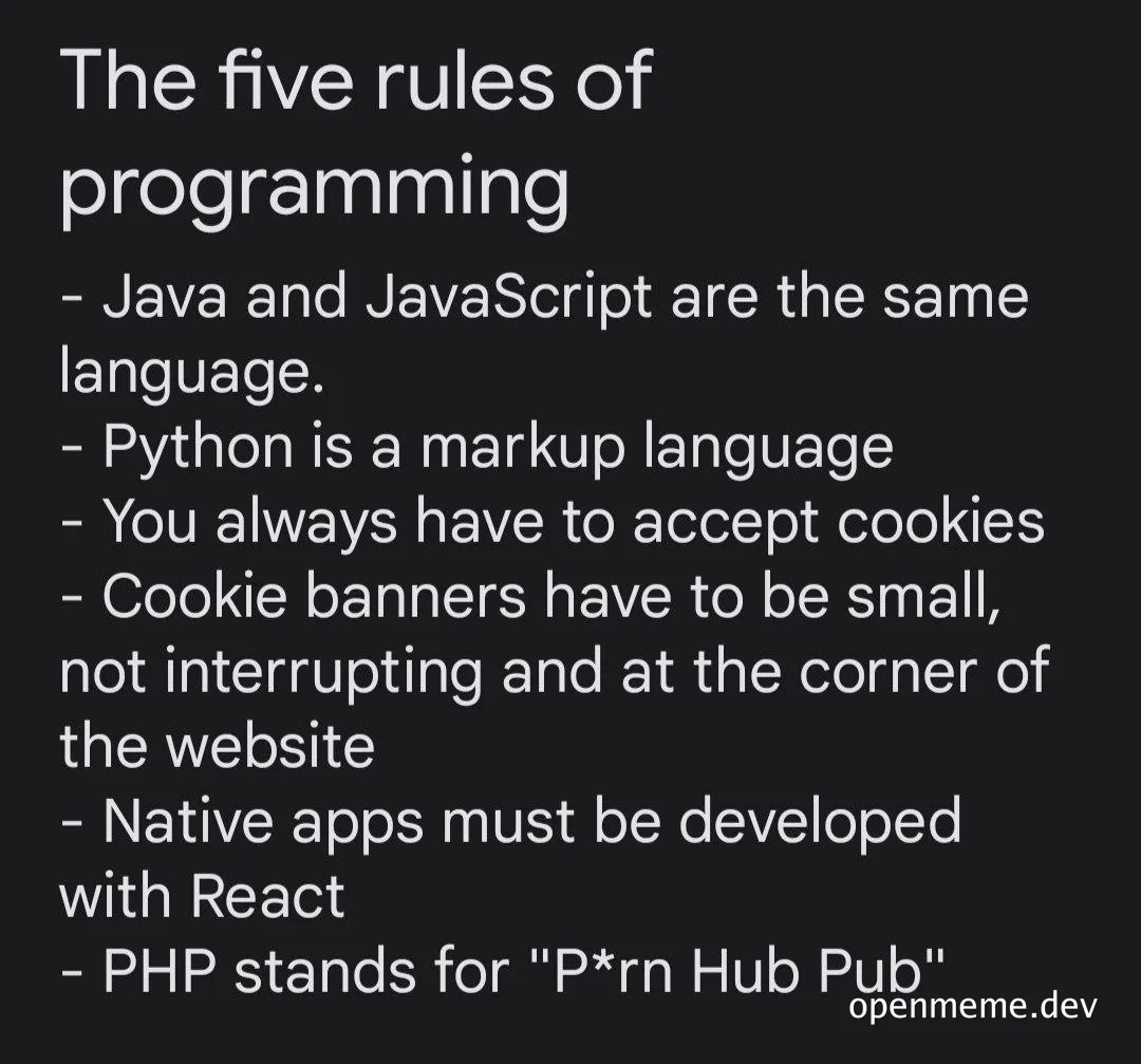 The five rules of programming meme