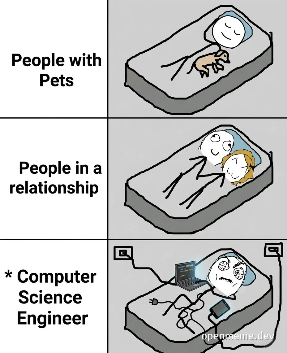 meme comparing people with pets, in a relationship, and computer science engineers sleeping