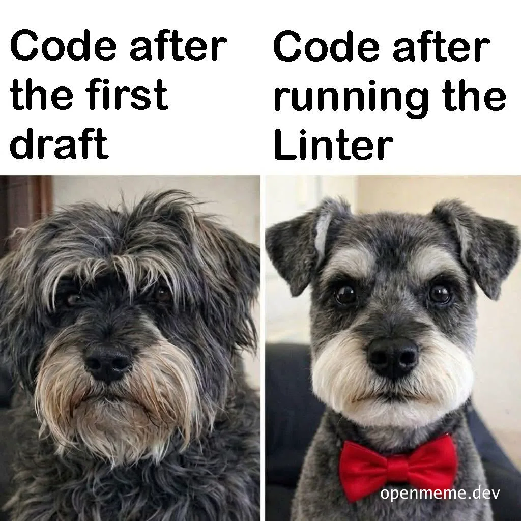 meme about code linting