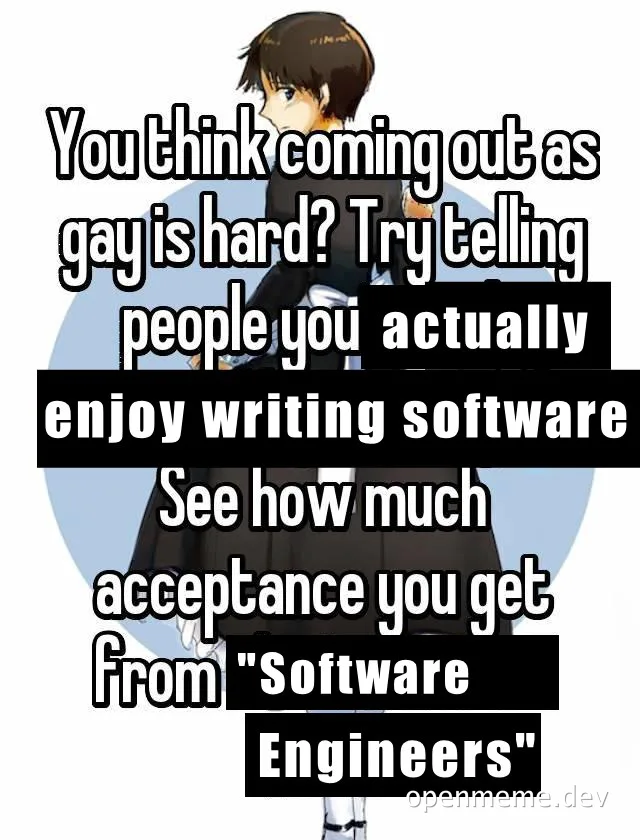 anime character with text overlay about software engineers