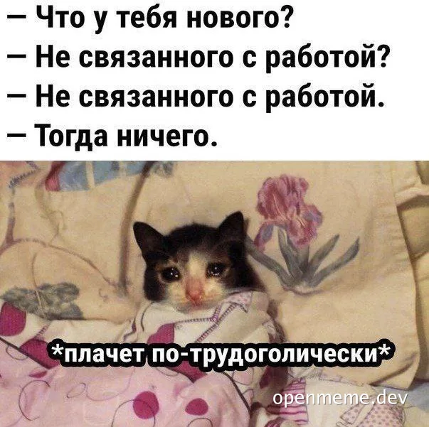 cat crying on bed with text overlay