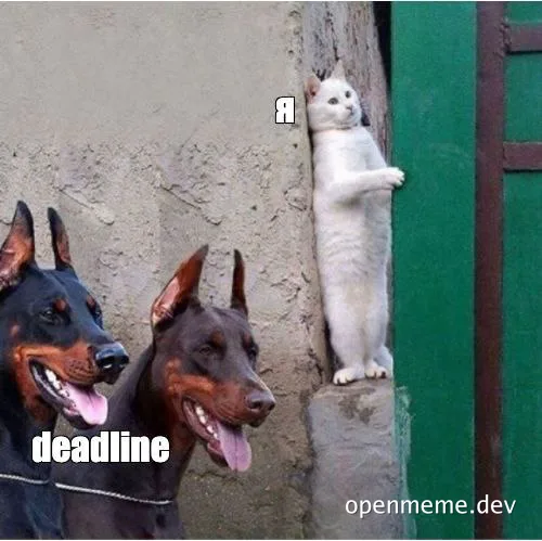 funny meme of a cat and two dogs with a deadline