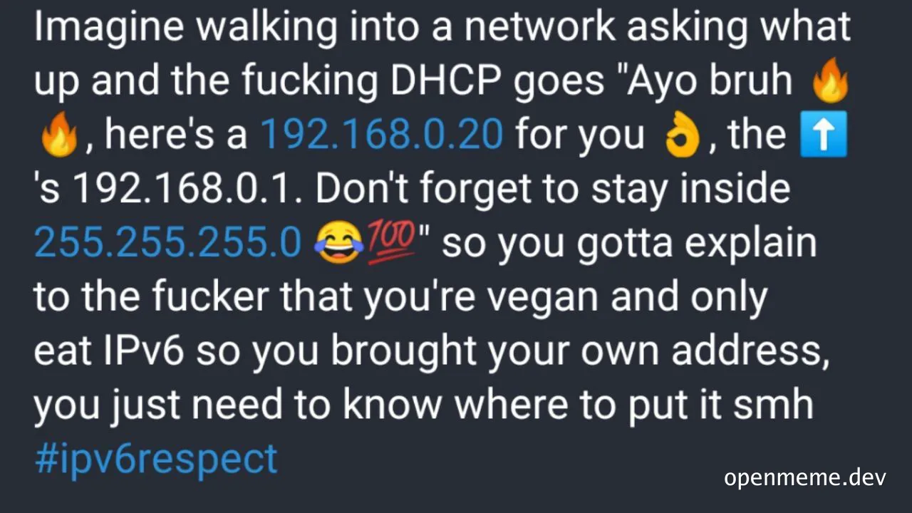 network-dhcp-ipv6-meme