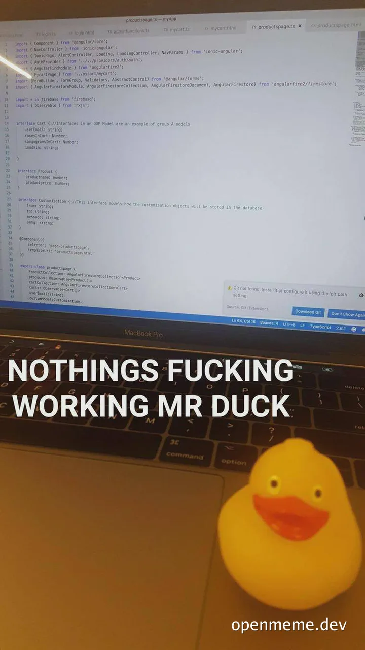 Rubber duck on laptop keyboard with frustrated coding screen