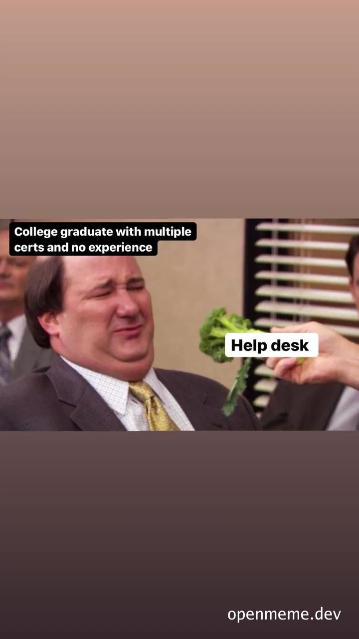 a meme of Michael Scott from The Office receiving a bunch of broccoli with the text 'College graduate with multiple certs and no experience' above him and 'Help desk' on the broccoli