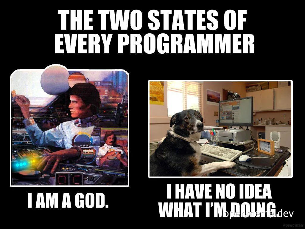 The two states of every programmer meme