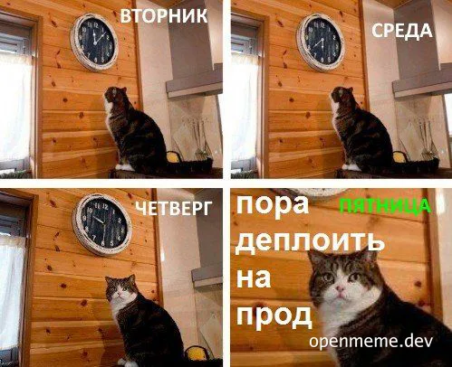 cat sitting by clock on wooden wall with russian text