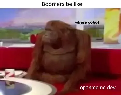 Boomers confused about Cobol