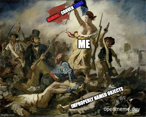 A meme depicting a woman standing over fallen bodies, symbolizing the struggle for proper naming conventions in coding.