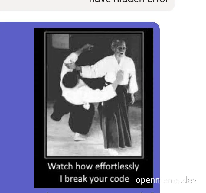 martial arts meme about breaking code