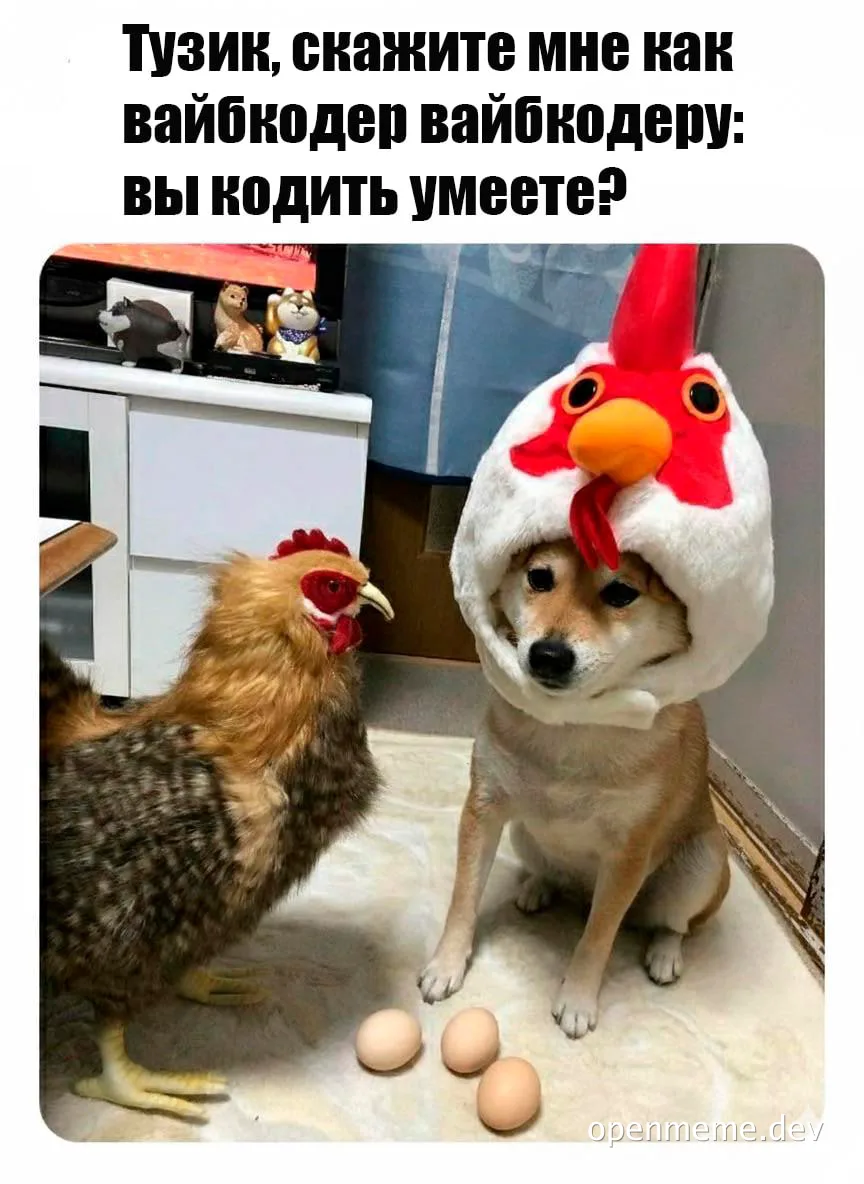 Собака в костюме курицы рядом с настоящей курицей и яйцами. Текст мема: Тузик, скажите мне как вайбкодер вайбкодеру: вы кодить умеете?