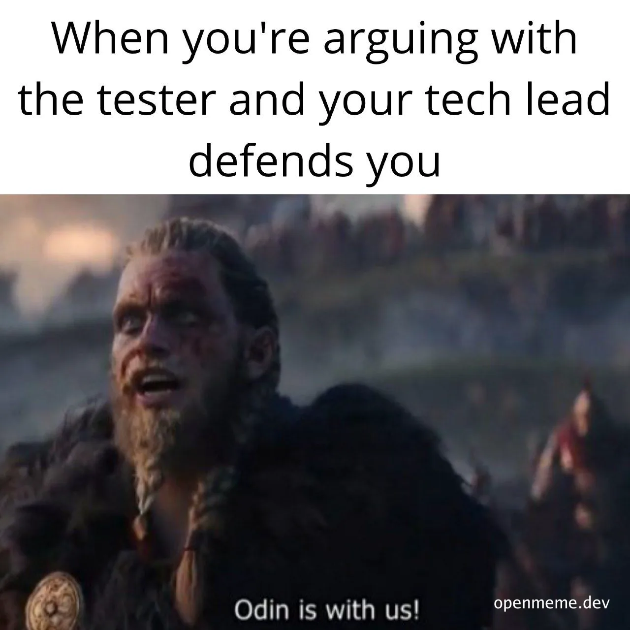 Viking warrior with caption 'When you're arguing with the tester and your tech lead defends you'