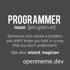 Programmer definition meme
