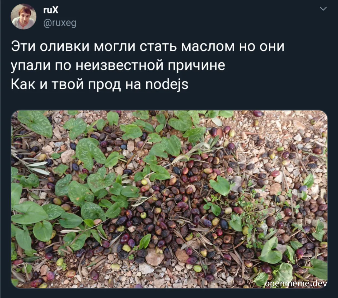 Olives on the ground with green leaves