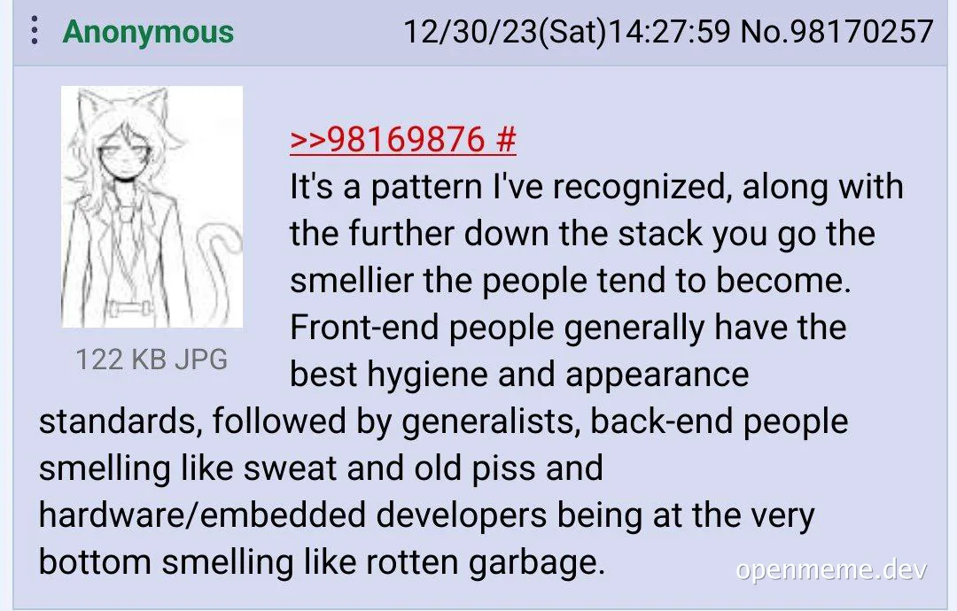 a drawing of a cat-like human with a caption about developer hygiene