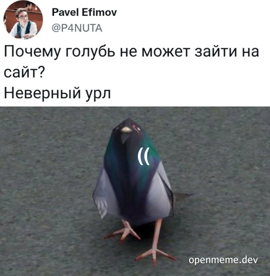 Pigeon confused with URL error