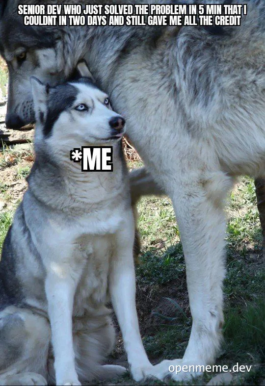 Husky meme with a smaller husky labeled *ME sitting next to a larger husky, representing a senior dev helping a junior dev