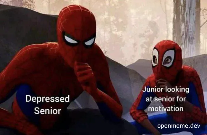 Spiderman meme with senior and junior versions looking at each other