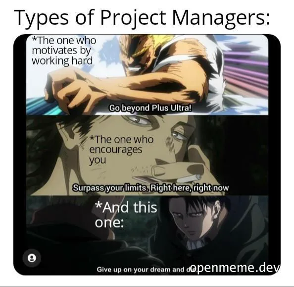meme about types of project managers
