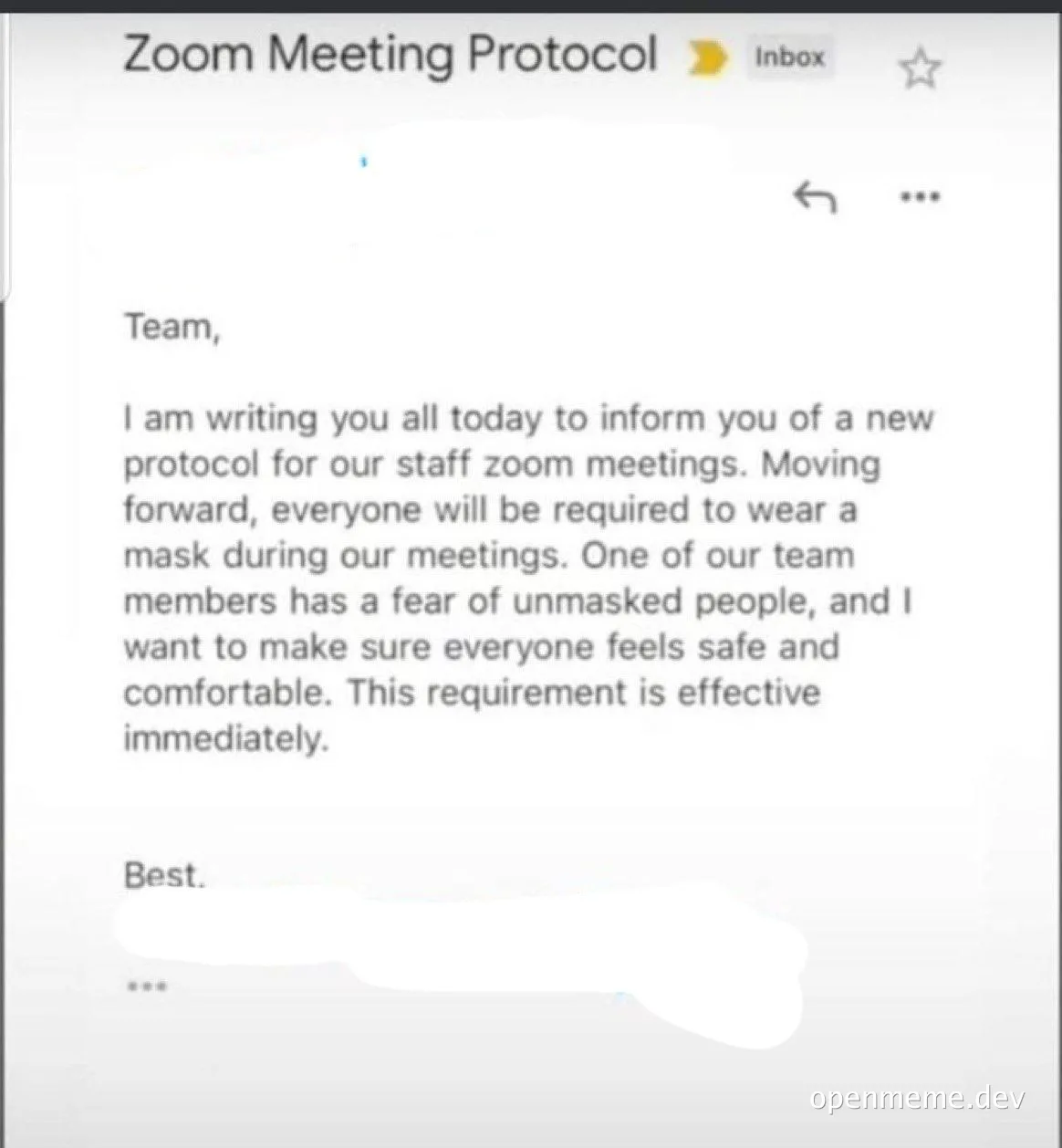 Zoom meeting protocol meme with a team member requiring masks due to fear of unmasked people