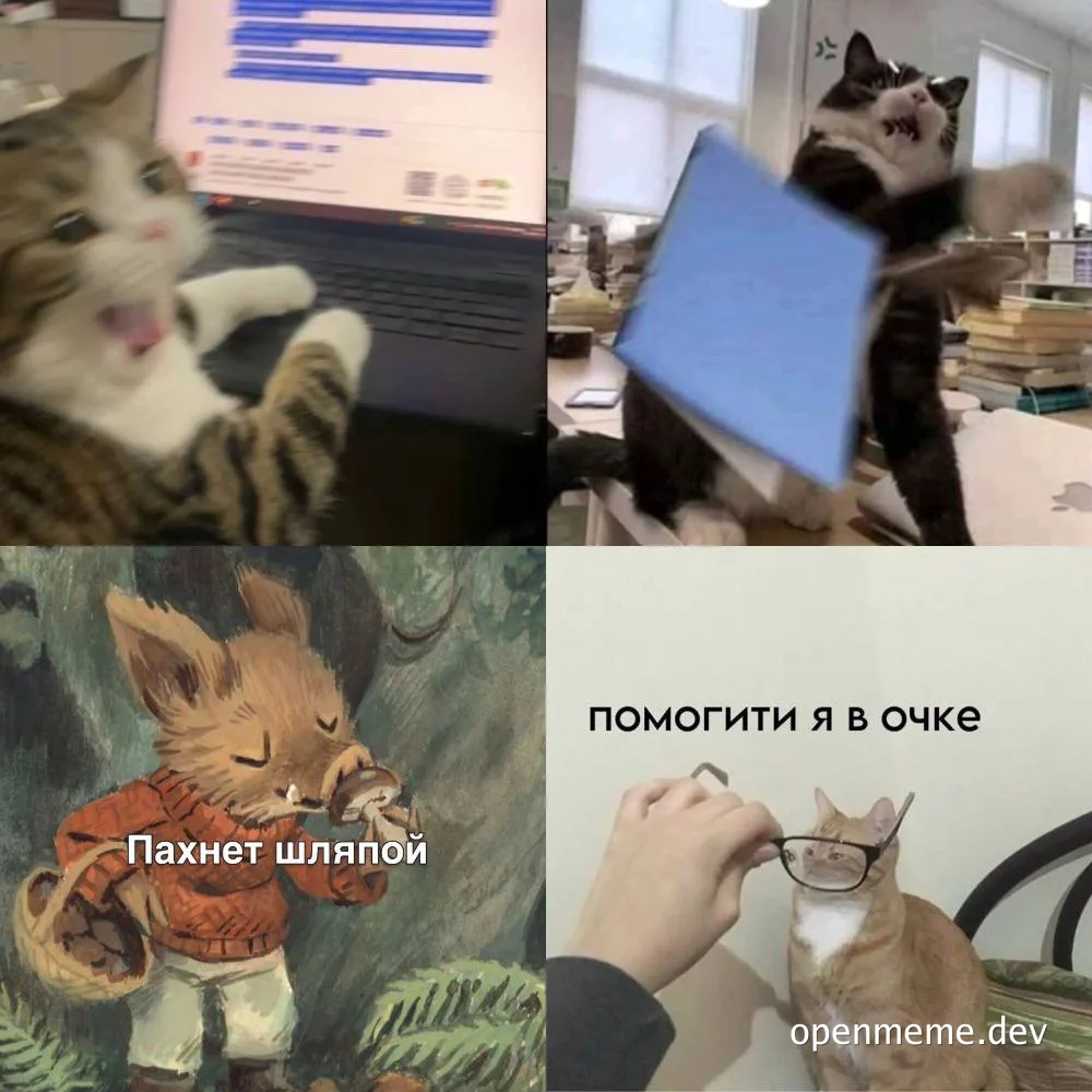 funny cat meme with russian captions