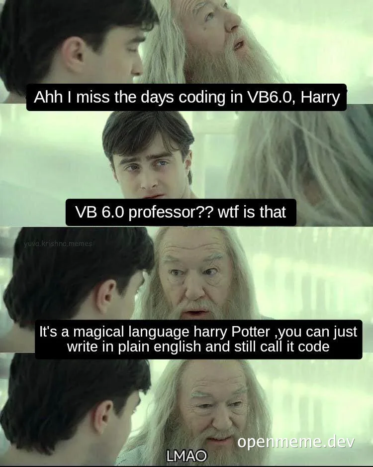 VB6 coding meme with Harry Potter