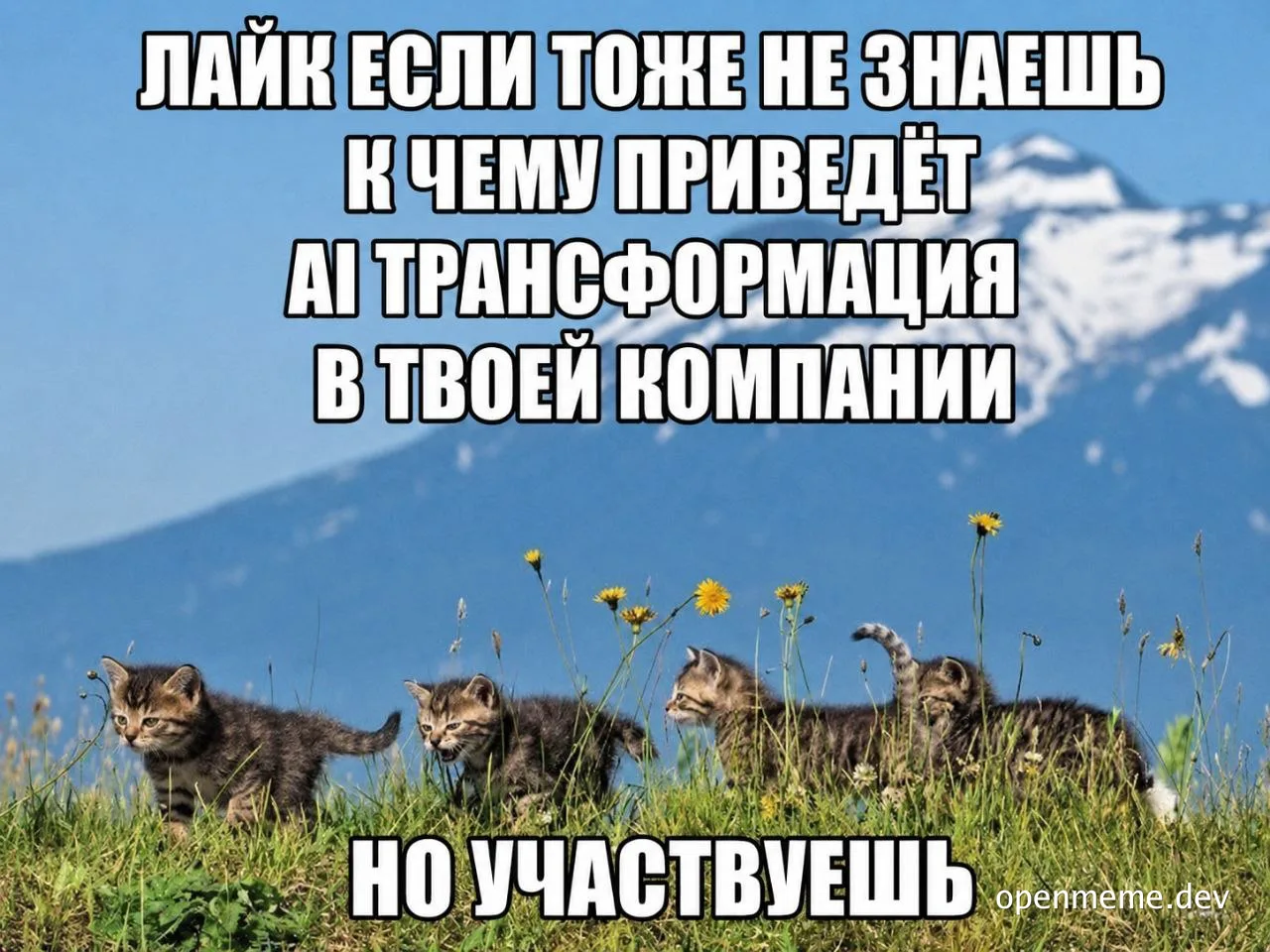 kitten meme about ai transformation
