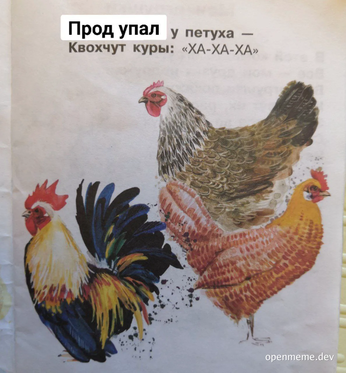 chickens laughing at a rooster's failed product