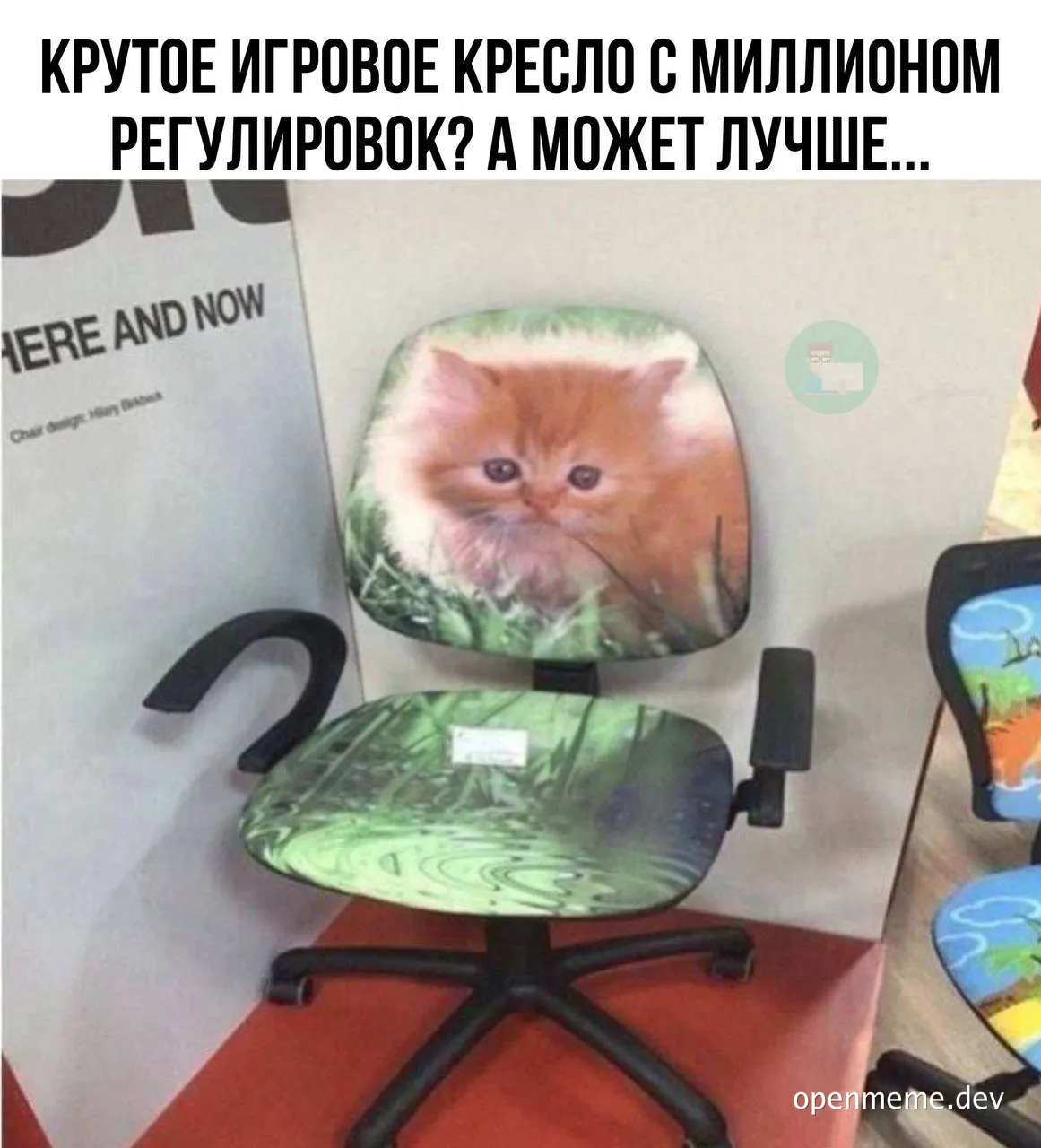 Funny office chair with a kitten picture and humorous text in Russian