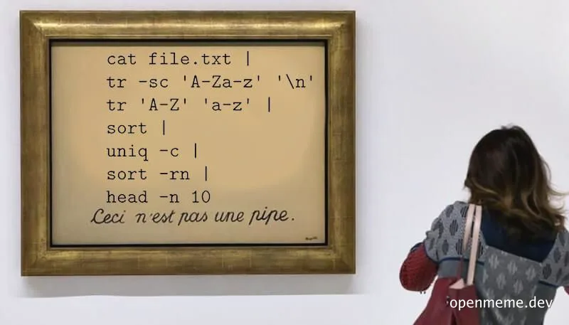 Woman looking at framed code art