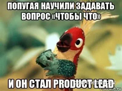 parrot meme product lead