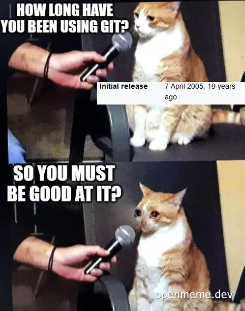 cat meme about git experience