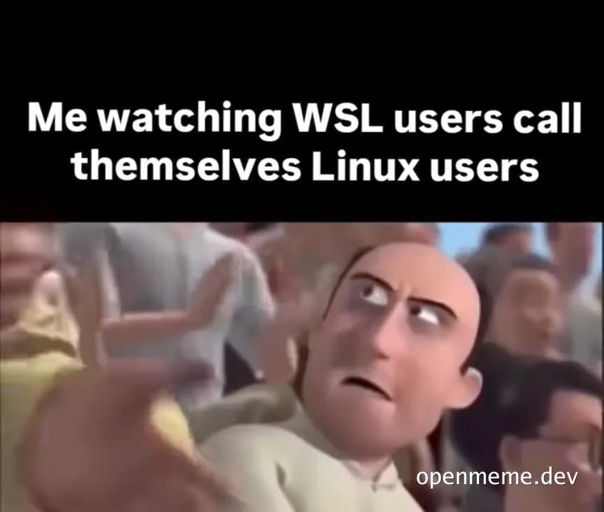 Gru from Despicable Me looking judgmental with text Me watching WSL users call themselves Linux users