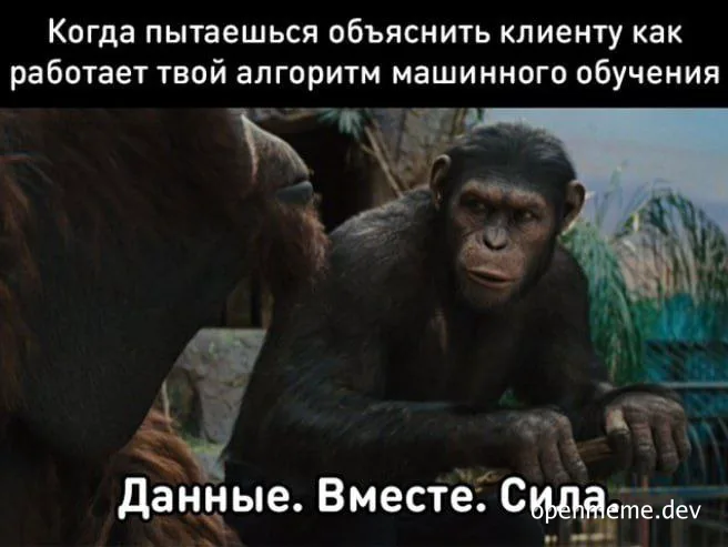 Monkey explaining machine learning to client