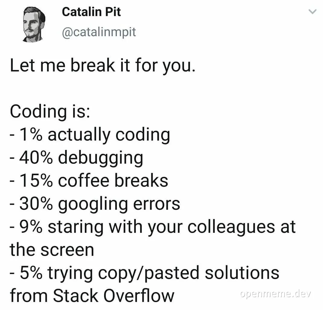Catalin Pit meme about coding breakdown