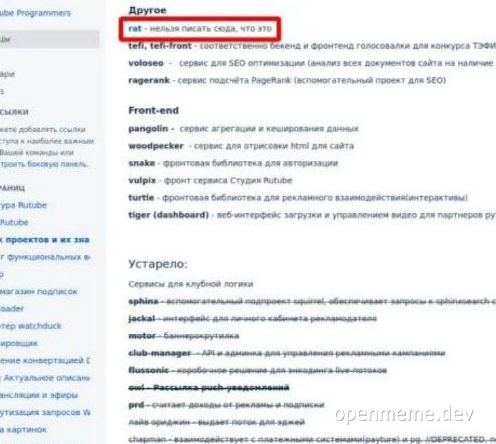 russian tech company services list with red highlight on 'rat' field