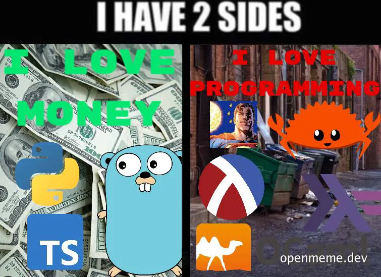 I have 2 sides meme with developer humor about loving money and programming