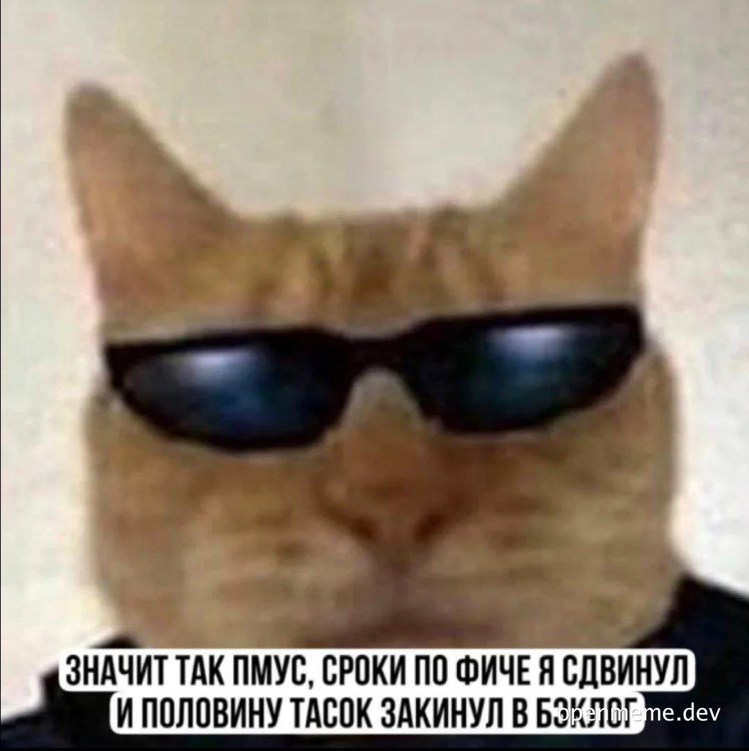cat in sunglasses meme