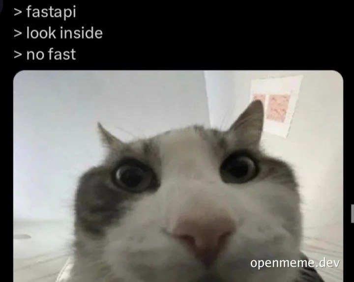 cat with wide eyes and shocked expression
